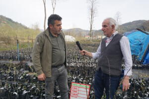 CHP’nin hazırladığı Çay Kanunu Teklifi, TBMM Genel Kurulunda AKP ve