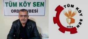 Çay alım kampanyasının başlamasına günler kala hala yaş çay fiyatının