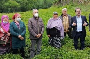 CHP’den hükümete çağrı: Yaş Çay üreticilerine ek zam yapılsın