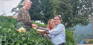 CHP Rize Örgütü Yöneticileri Çay Üreticisini Yerinde Ziyaret Etti