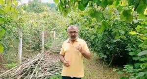 COŞKUN ÖZBUCAK Ordu- TMO’dan sonra serbest piyasa alıcılarının tarım gıda