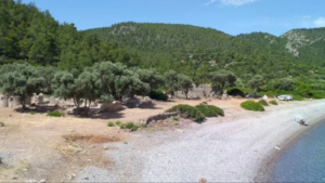 Kissebükü Anastasiapolis Antik Kenti’ndeki ‘kazı çalışmalarının yürütülebilmesi’ için çevresindeki 17