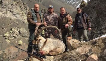 Hayvan katliamı devam ediyor: 7 kentte 28 dağ keçisi ve geyiğin öldürülmesine onay
