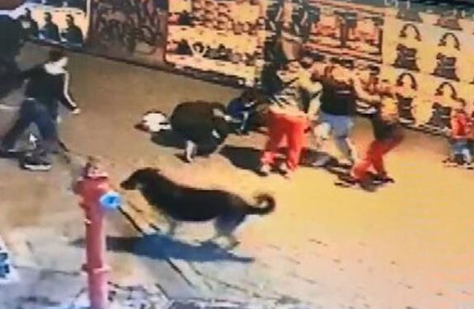 Beşiktaş’ta ‘gasp çetesi’ dehşeti! 1’i kadın 4 kişi bıçaklandı