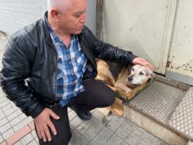 Sokak köpeğinin saldırıya uğradığı kıraathanenin sahibi Sadıkoğlu: “Benim kedim o köpekle arkadaştı, şu anda dışarıya çıkmaya korkuyor”