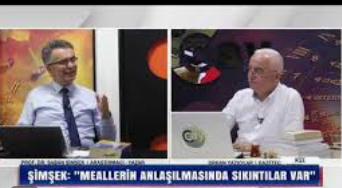 Gazeteci Onay profesör Şimşek’e ne sordu?