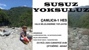 GENÇAĞA KARAFAZLI Artvin Arhavi’de köylüler, HES ve taş ocaklarını protesto