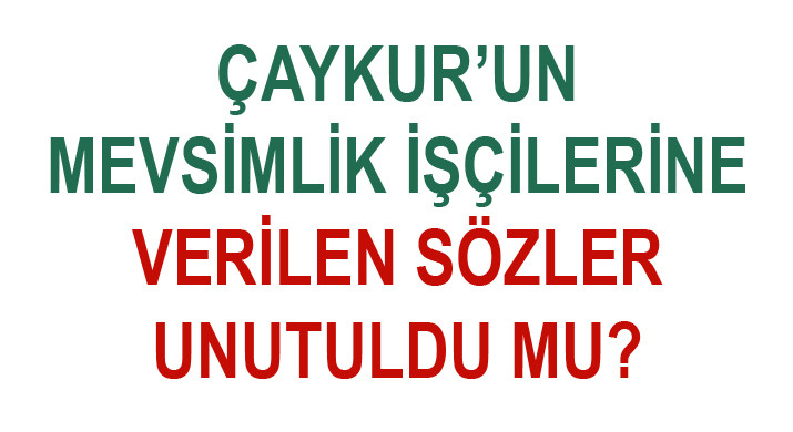 ÇAYKUR’UN MEVSİMLİK İŞÇİLERİNE VERİLEN SÖZLER UNUTULDU MU?