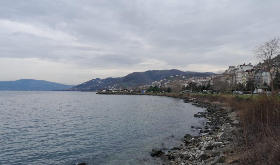 Ordu Büyükşehir Belediyesi tarafından Ordu ili Perşembe ilçesinde yapılmak istene