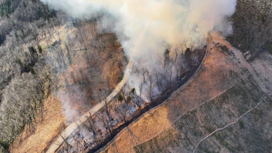Karadeniz’de Orman Yangınların da Artış Tehlikesi