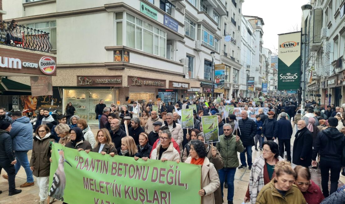 HABER: Gençağa Karafazlı GÖRÜNTÜ:Coşkun ÖZBUCAK (ORDU) – Ordu Büyükşehir Belediyesi