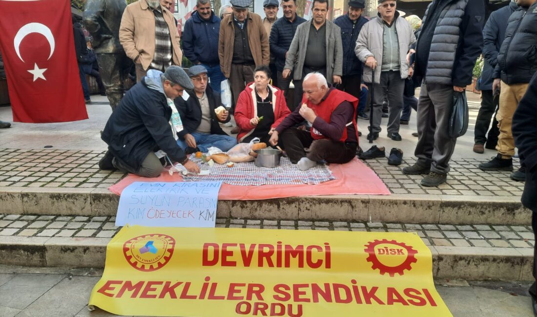 HABER:SELDA KARAFAZLI GÖRÜNTÜ: COŞKUN ÖZBÜCAK (ORDU) – TÜİK’in açıkladığı aralık