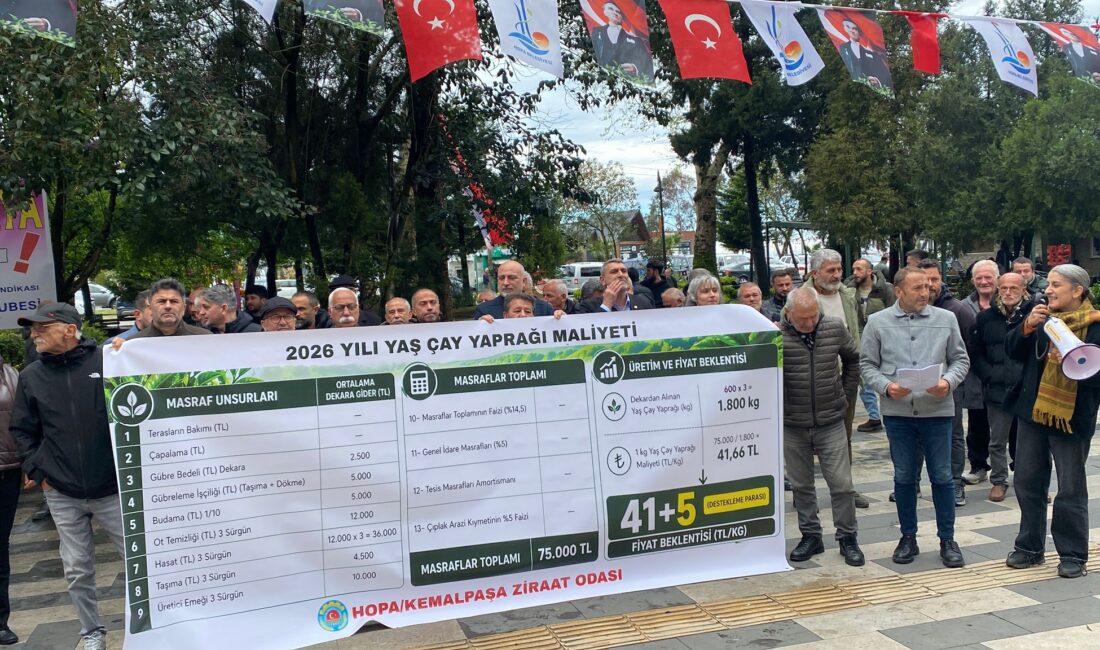 “205 Bin Çay üreticisinin Gözü Hukümetin açıklayacağı Fiyatta Hopa Ziraat odası