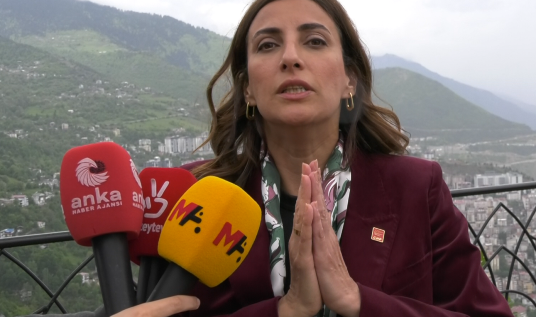 CHP milletvekilleri “Reşit Kibar cinayeti önlenebilirdi, Artık yaşam savunucuları güvende