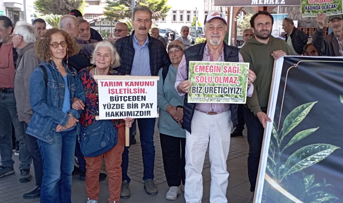 Haber: Gençağa Karafazlı Görüntü: Tanju Aksu (RİZE) – Rize’nin Fındıklı