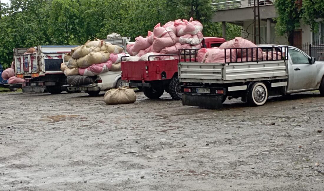Çaykurun kota ve kontenjan uygulaması nedeniyle çayını özel firmalara ucuza