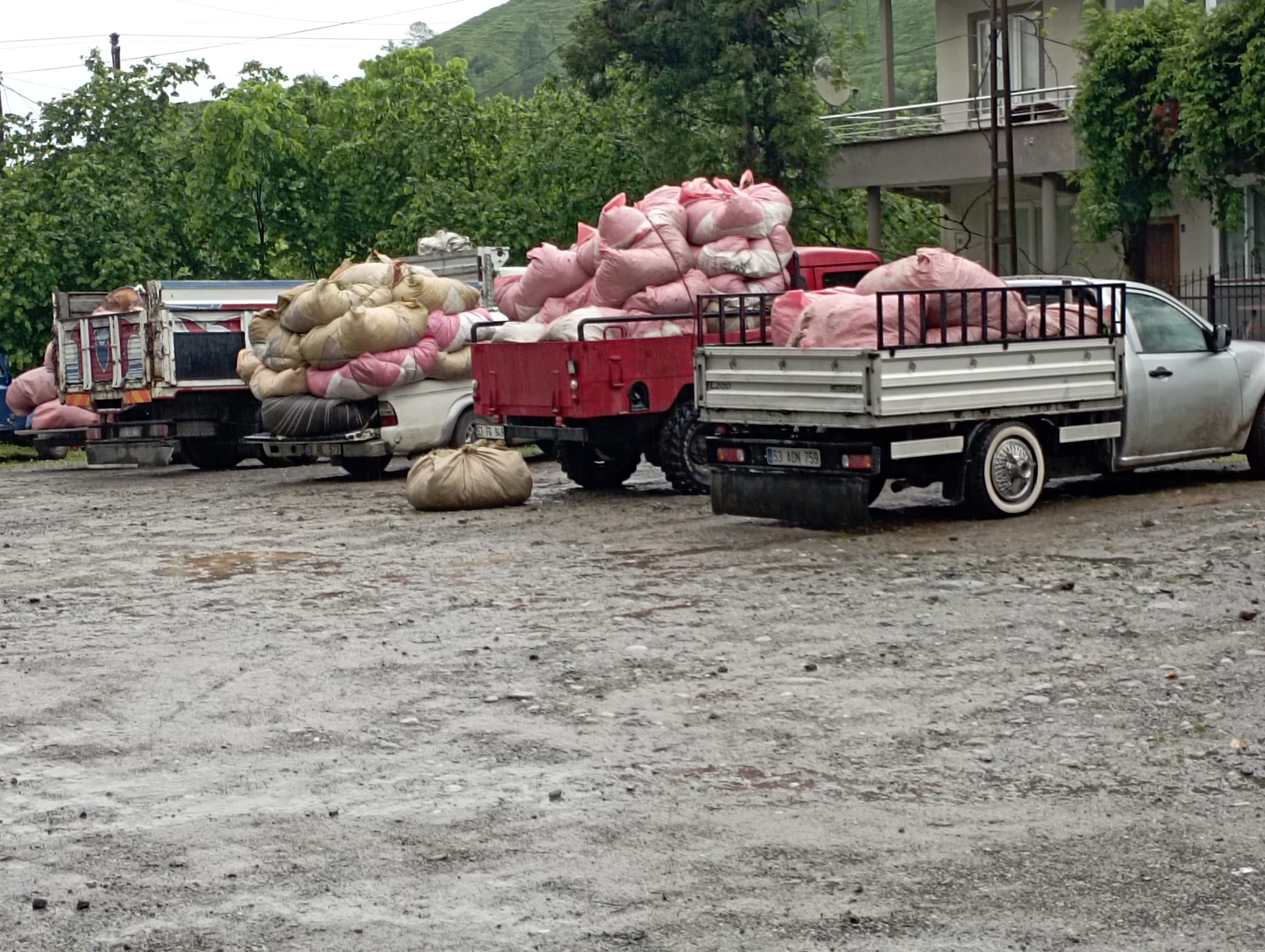 Çaykurun kota ve kontenjan uygulaması nedeniyle çayını özel firmalara ucuza
