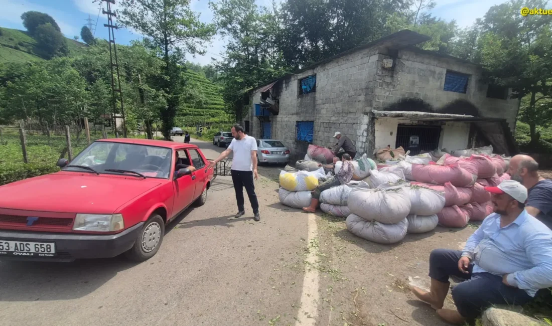 ÖZEL Haber: SeldaKARAFAZLI Görüntü: Gençağa KARAFAZLI (RİZE) – ÇAYKUR’un kota ve