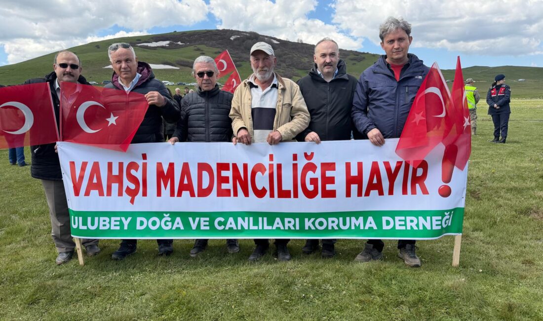 Haber: Mehmet Başaran KÜTÜK ORDU –  Ordu’nun Korgan ilçesinde Taşzemin İnşaat